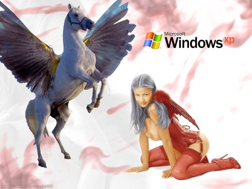 383307 (a): :1024x768